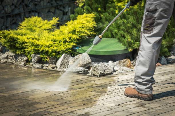 Best Pre-Holiday Cleaning  in River Road, OR